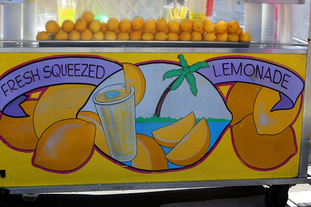 Lemonade Stand and Summer Entrepreneurship: A Complete Guide for Kids to Start Their Own Business