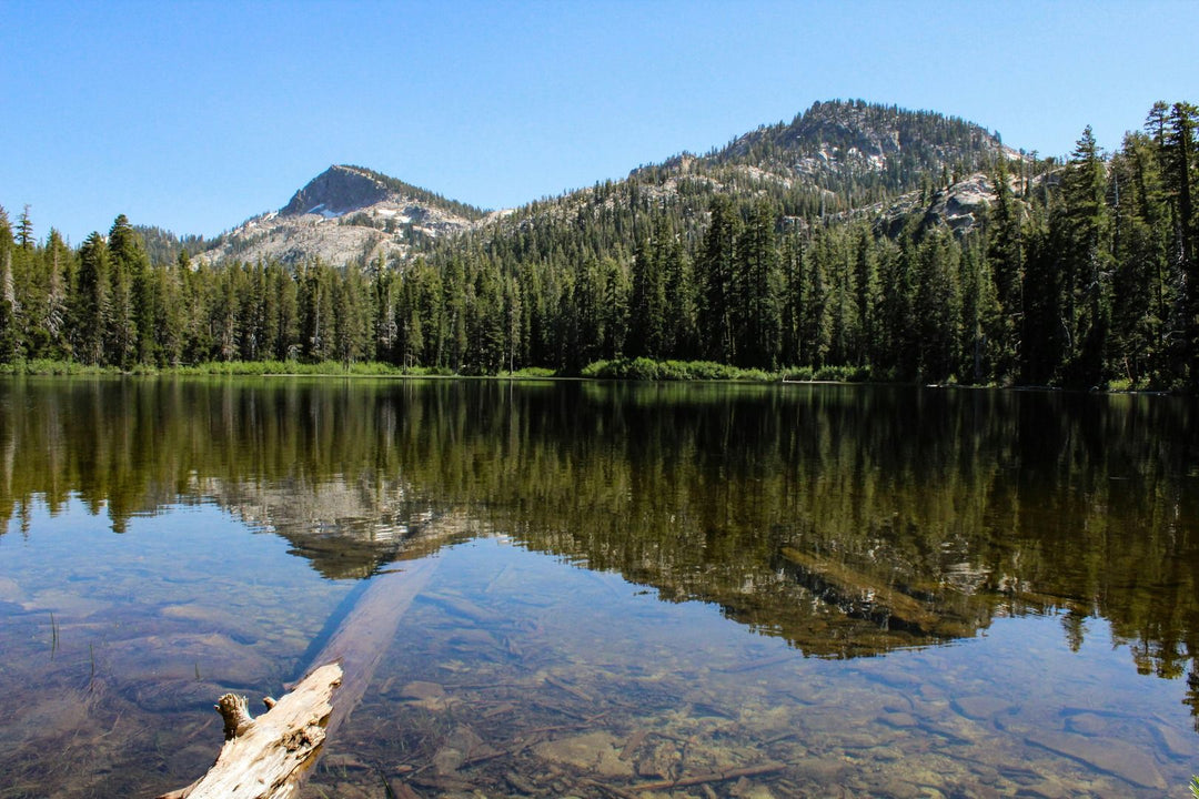 Top USA Lakes for Summer Family Getaways: The Ultimate Guide to Swimming, Boating, and Lakeside Fun