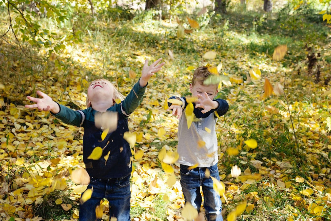 Nature-Based Storytelling Ideas Using Natural Objects
